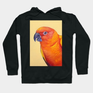 Sun Conure - bird portrait painting Hoodie